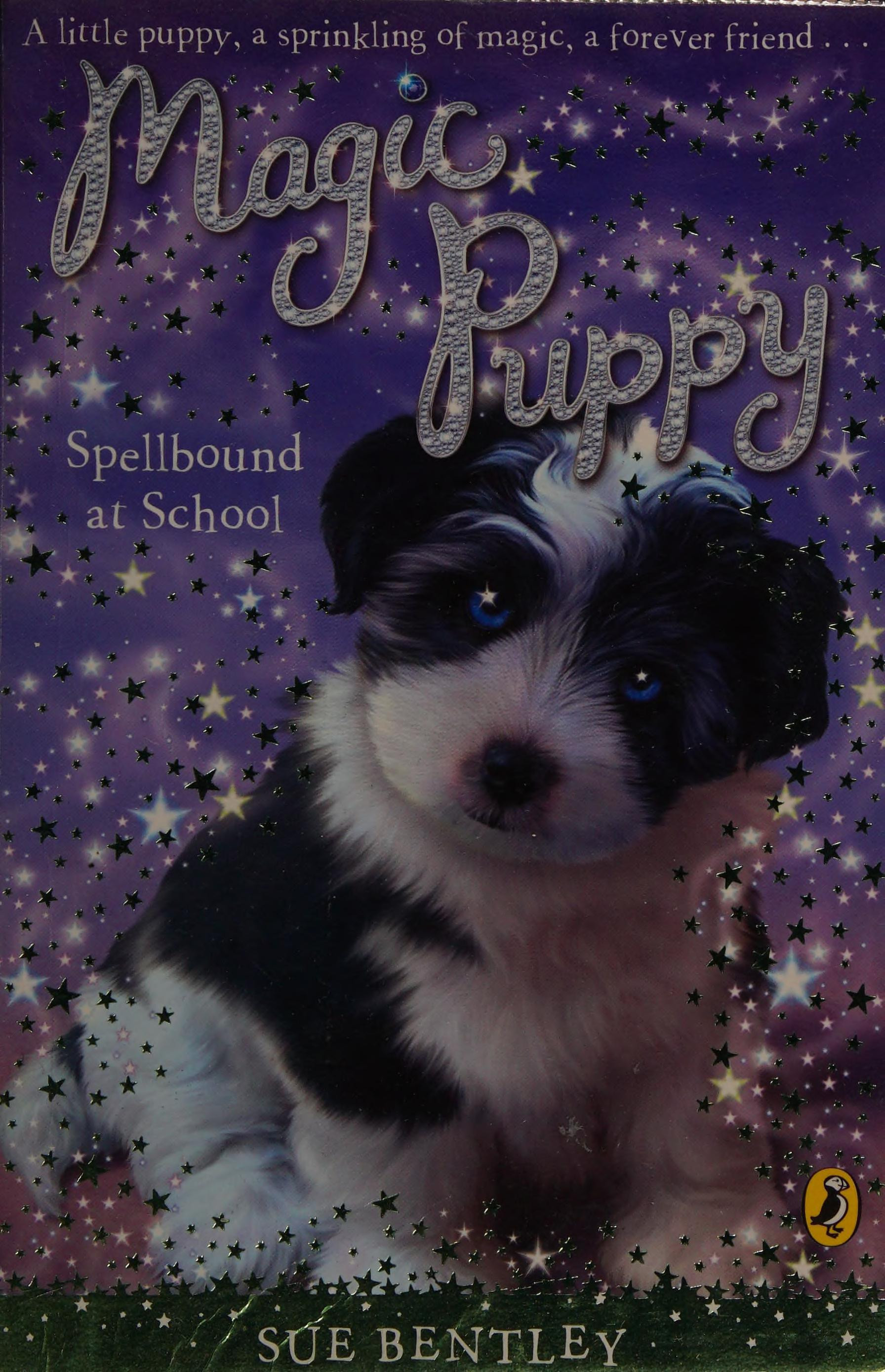 Magic Puppy Spellbound at School