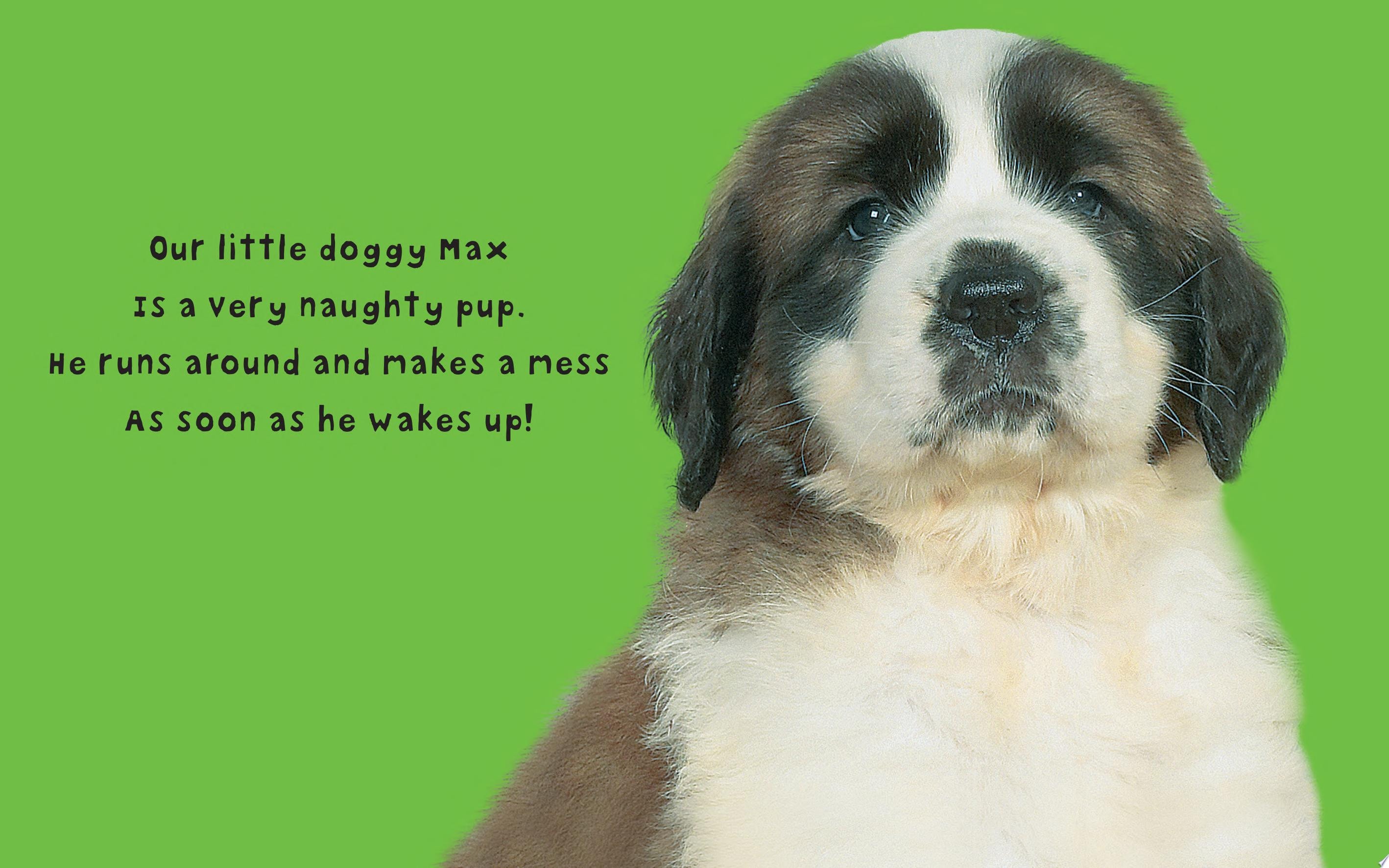 Bright Baby Touch & Feel Perfect Pets