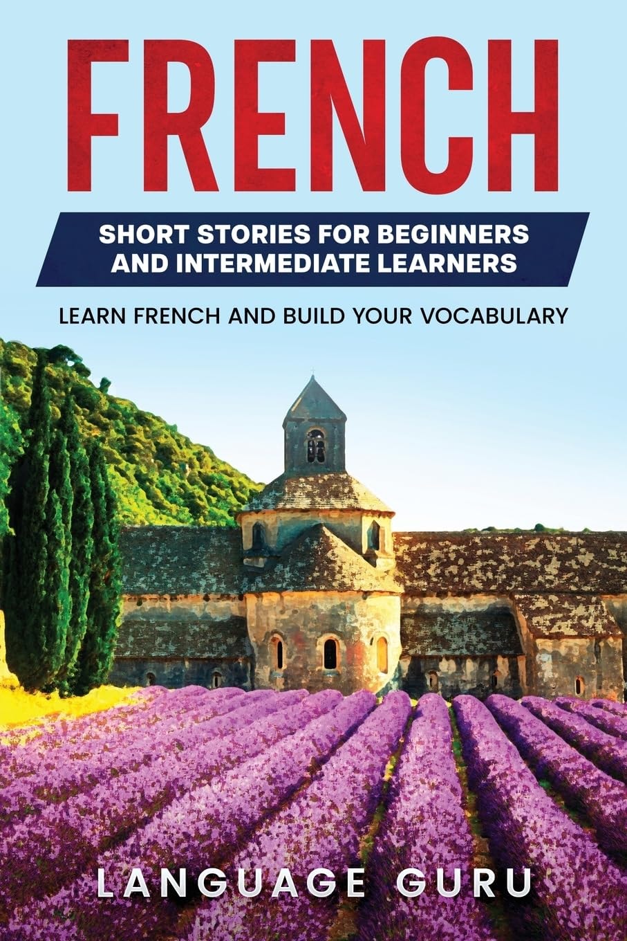 French Short Stories for Beginners and Intermediate Learners Engaging Short Stories to Learn French and Build Your Vocabulary
