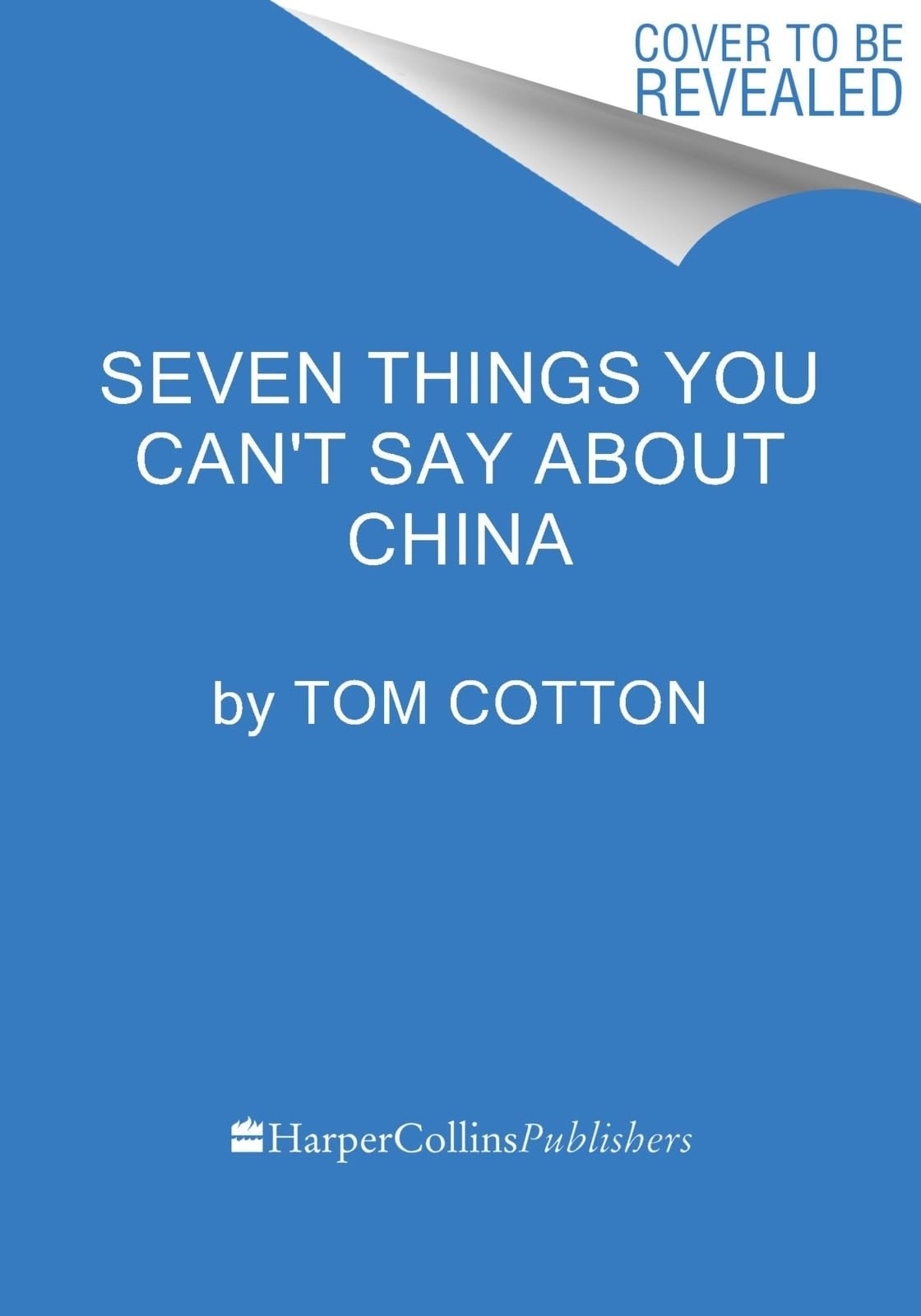 Seven Things You Can't Say About China (