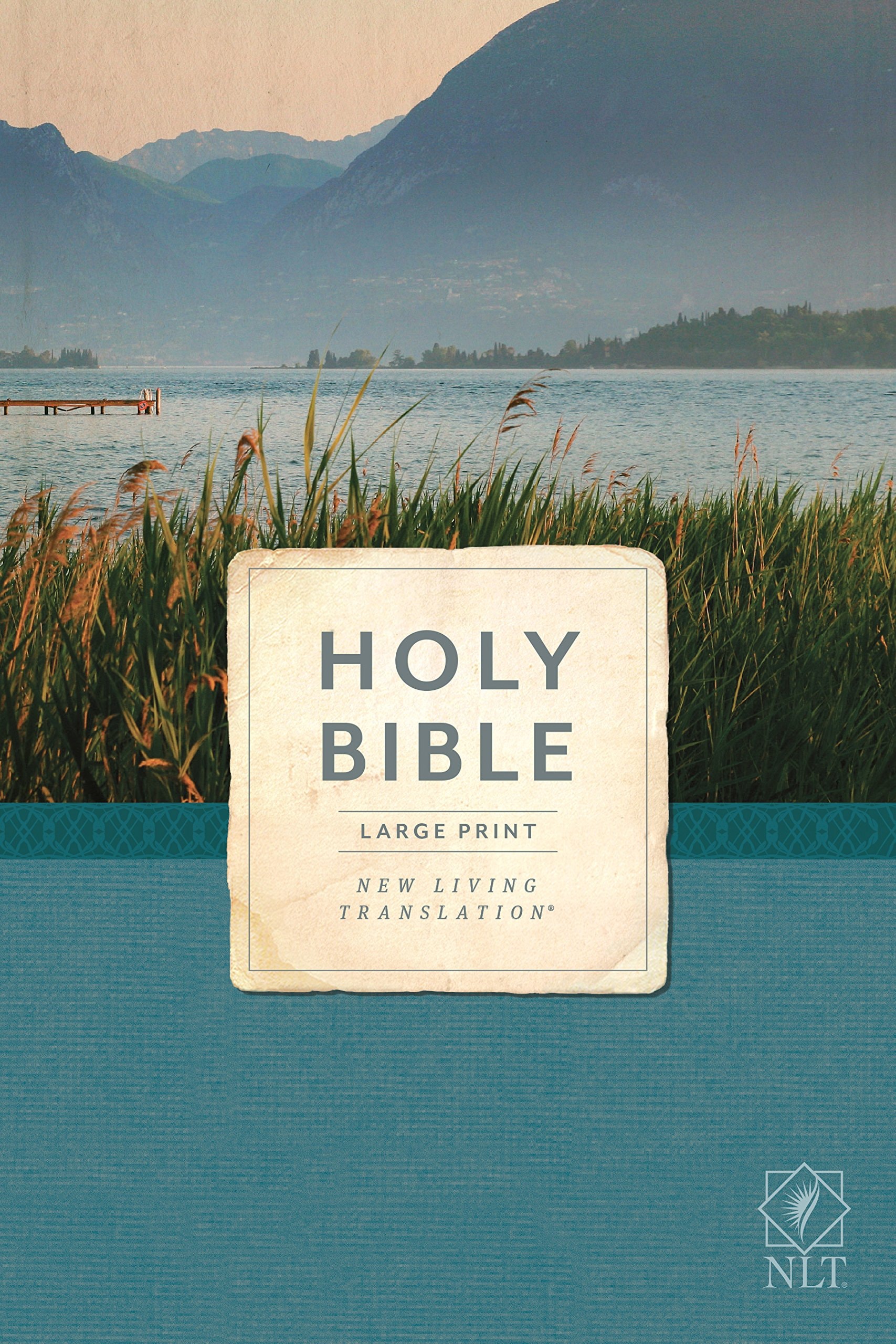 Holy Bible, Economy Outreach Edition, Large Print, NLT