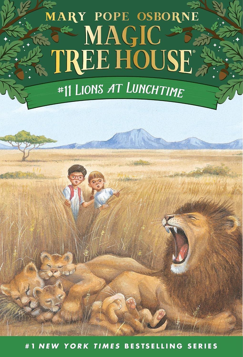 Lions at Lunchtim